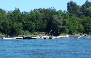 drava túra barcs közelében.jpg